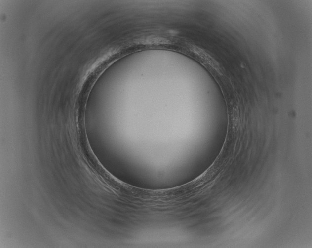 X0000073450727200607281005