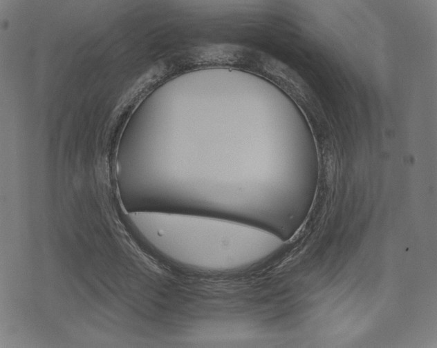 X0000073450729200607281005