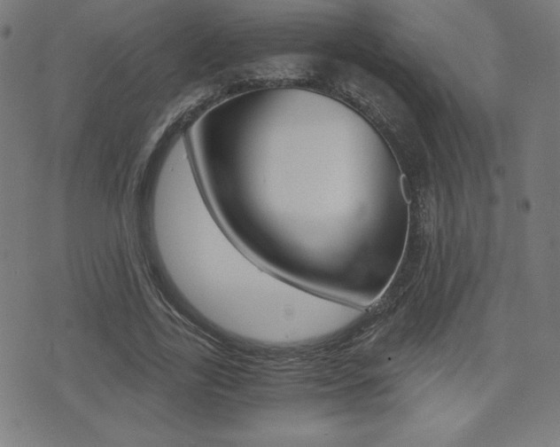 X0000073450731200607281006
