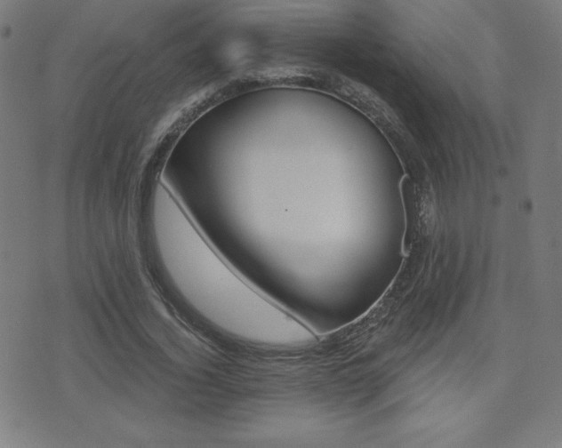 X0000073450732200607281006