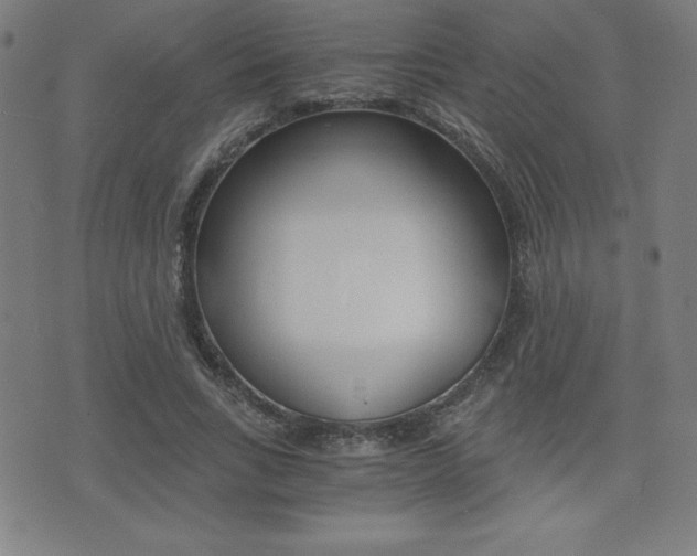 X0000073450735200607281006