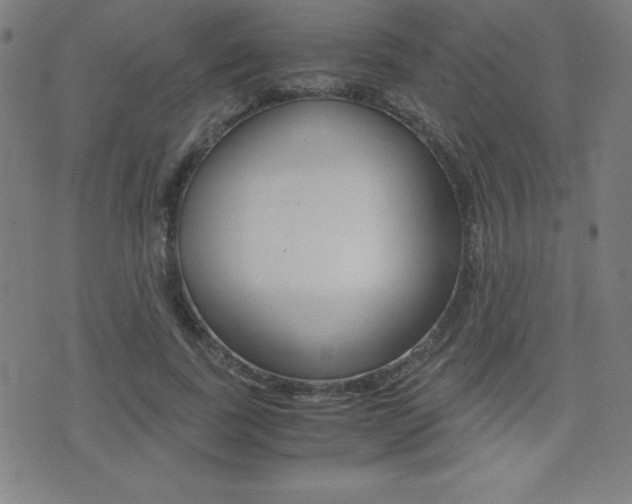 X0000073450739200607281006