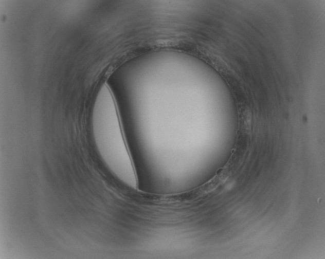 X0000073450746200607281006