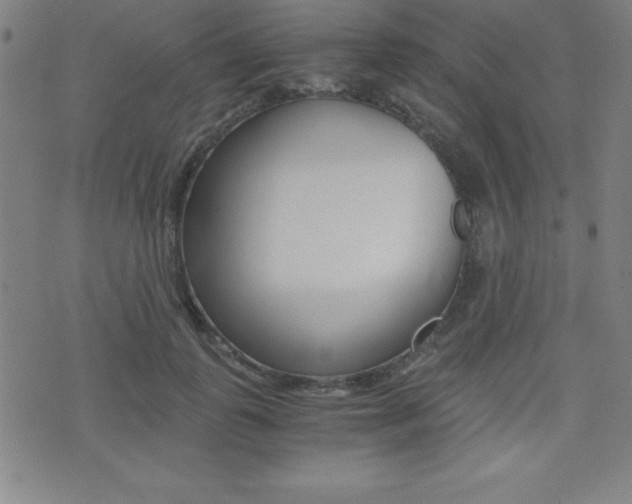 X0000073450747200607281006