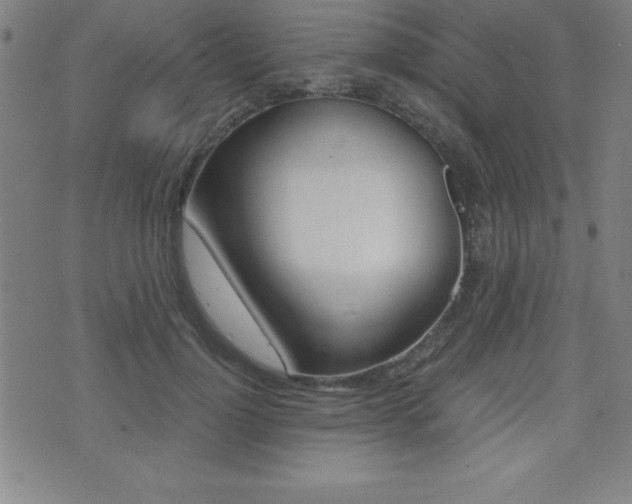 X0000073450748200607281006