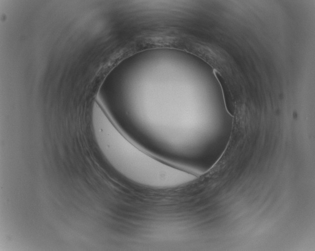 X0000073450752200607281006