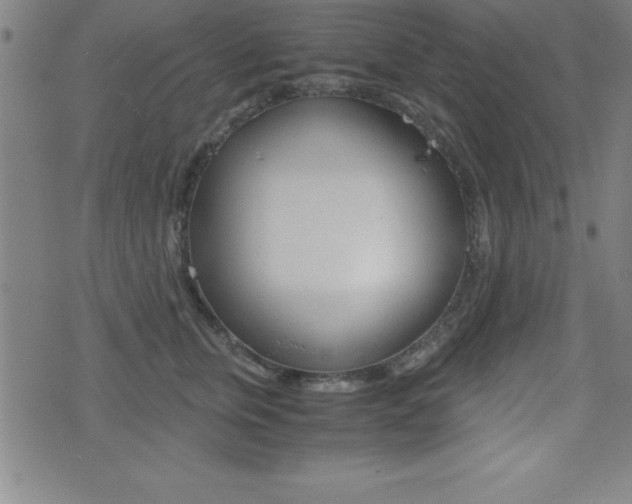 X0000073450759200607281006