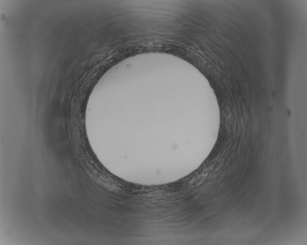 X0000073450769200607281005