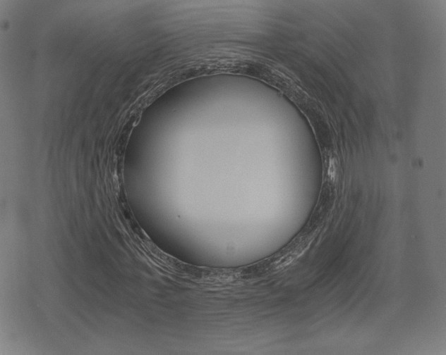 X0000073450771200607281005