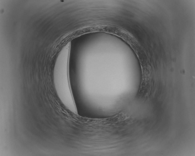X0000073450773200607281005