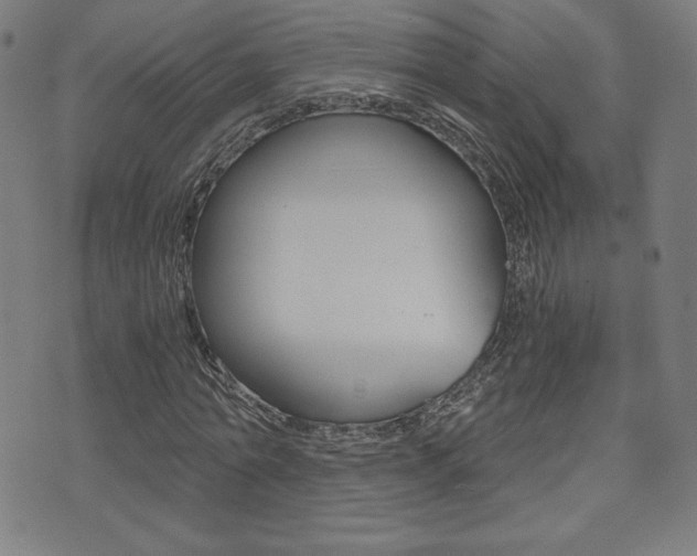 X0000073450774200607281005