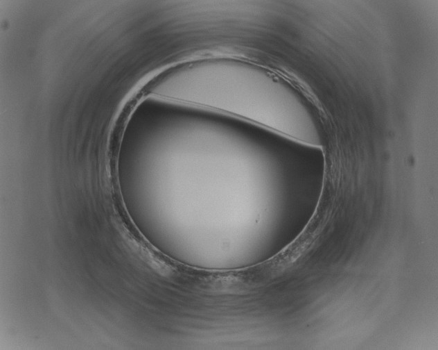 X0000073450784200607281005