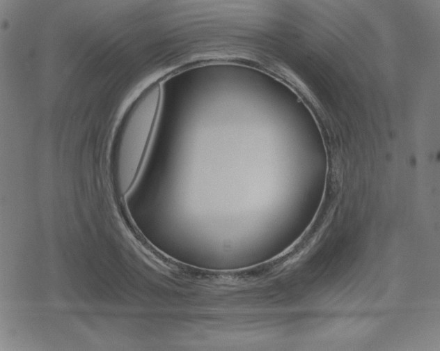 X0000073450787200607281005