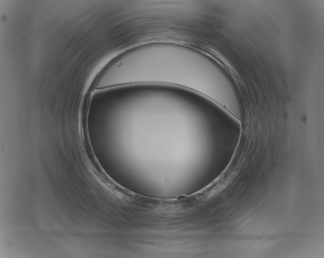 X0000073450788200607281005