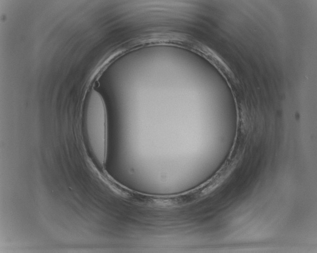 X0000073450794200607281005