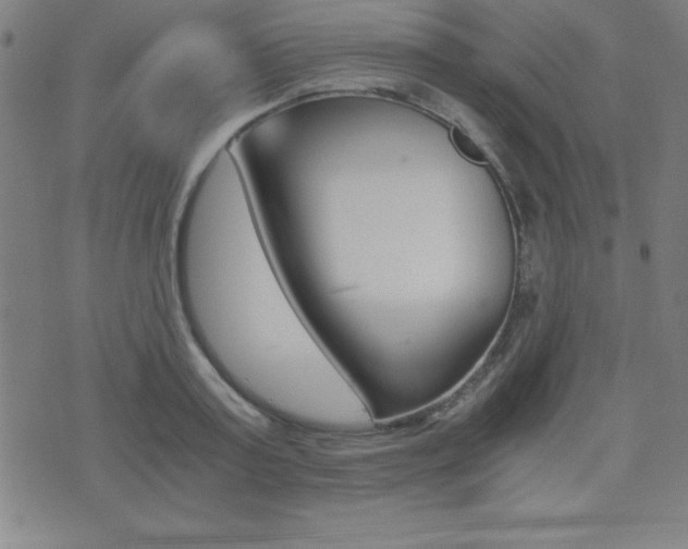 X0000073450795200607281005