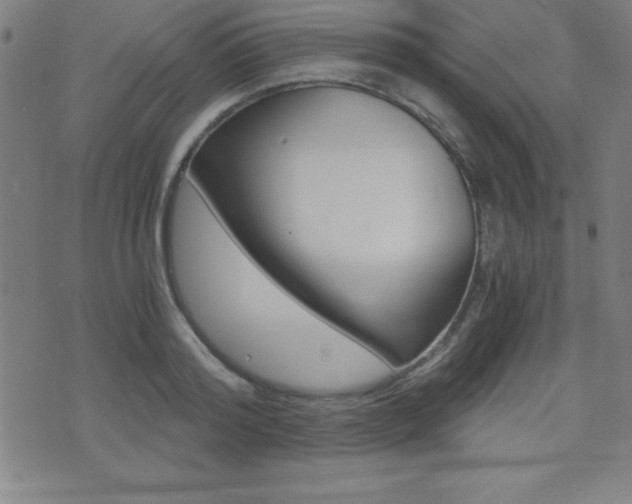 X0000073450796200607281005