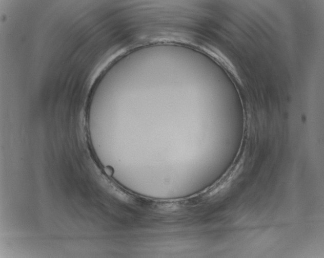 X0000073450798200607281005