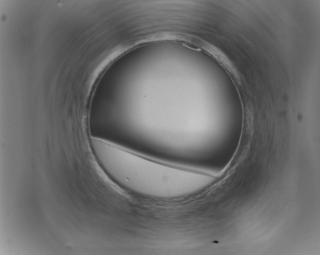 X0000073450805200607281005