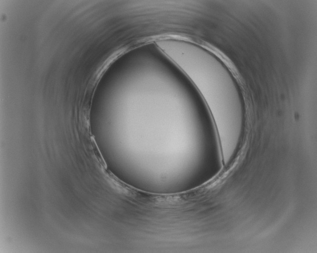 X0000073450809200607281005