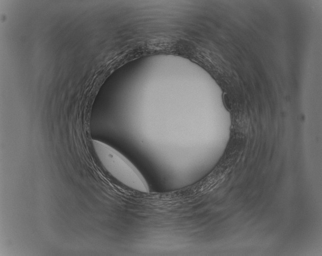 X0000073450817200607281004