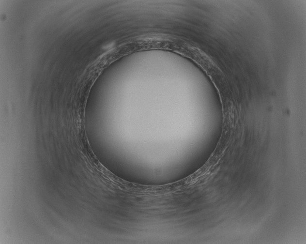 X0000073450821200607281004
