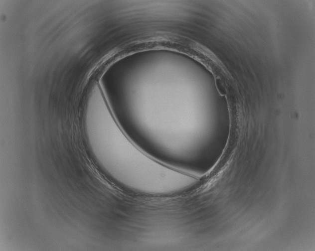 X0000073450826200607281004