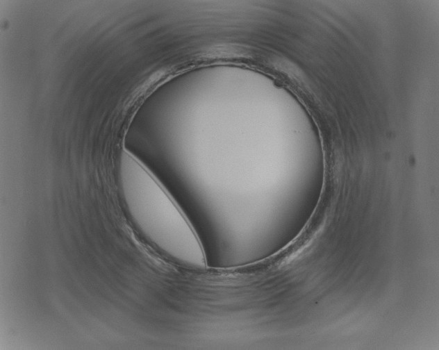 X0000073450833200607281004