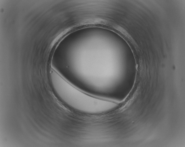 X0000073450834200607281004