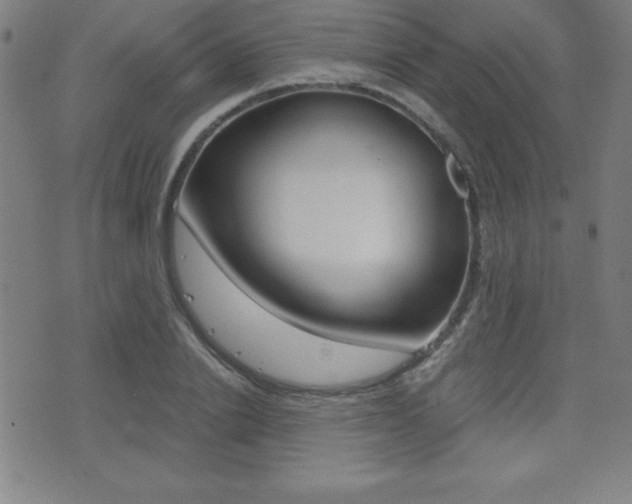 X0000073450838200607281004