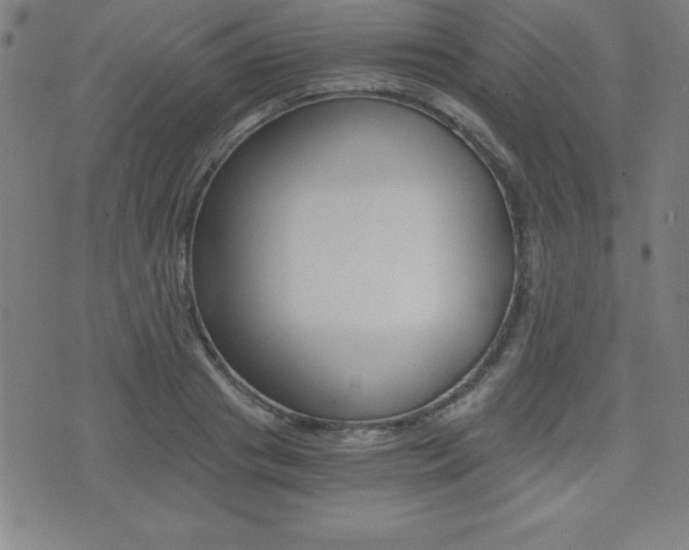 X0000073450841200607281004