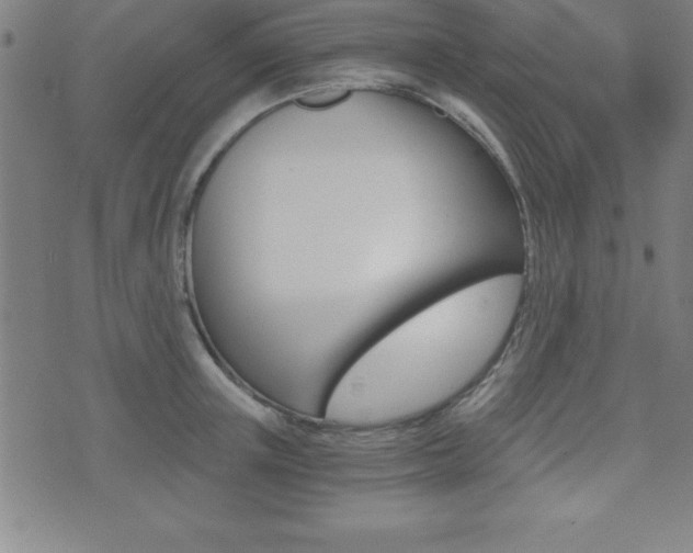 X0000073450851200607281004