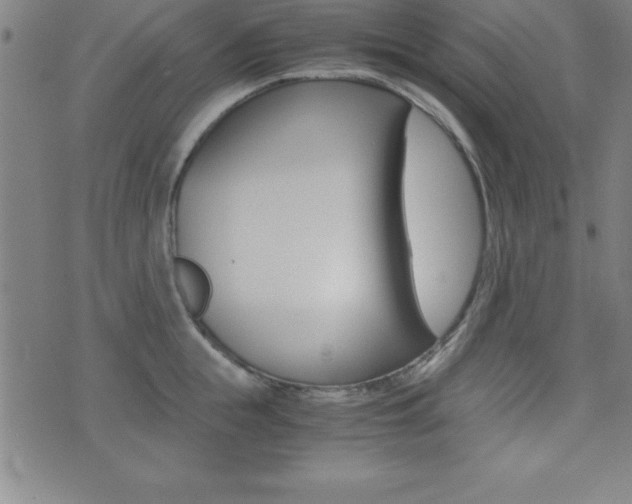 X0000073450855200607281004