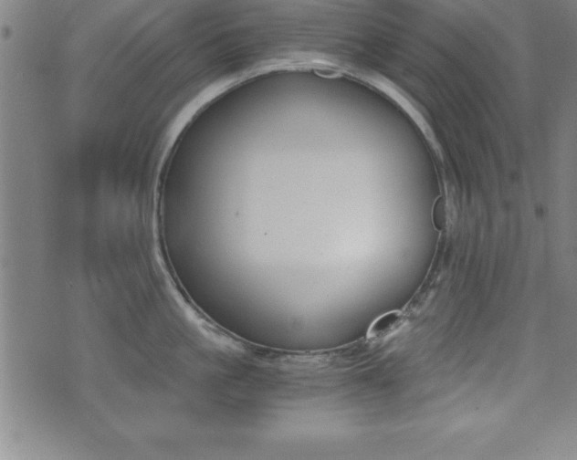 X0000073450861200607281005