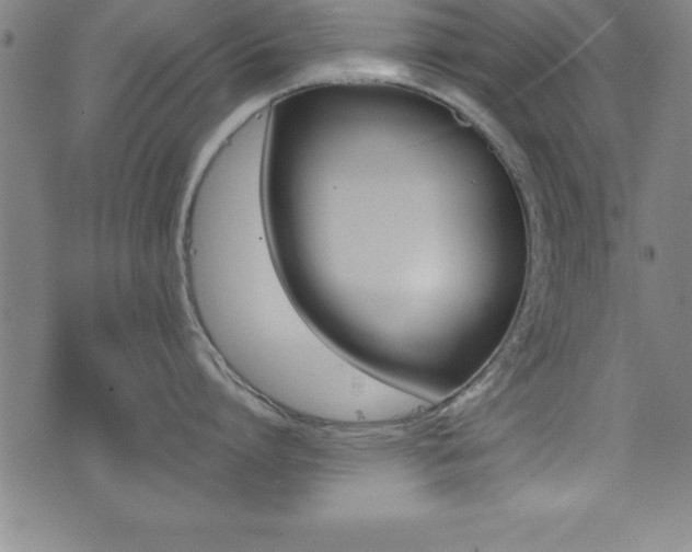 X0000073450864200607281005