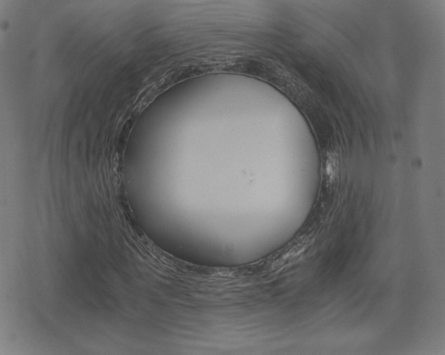 X0000073450867200607281004