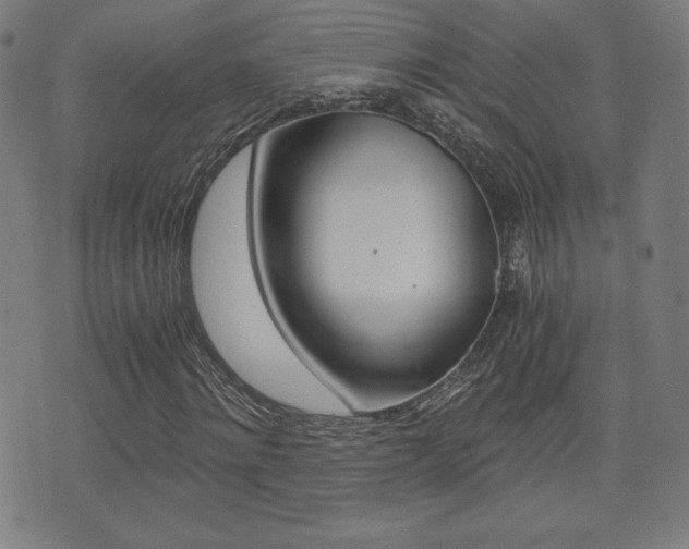X0000073450868200607281004
