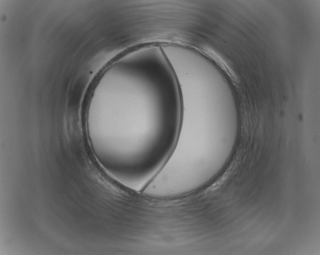 X0000073450884200607281003