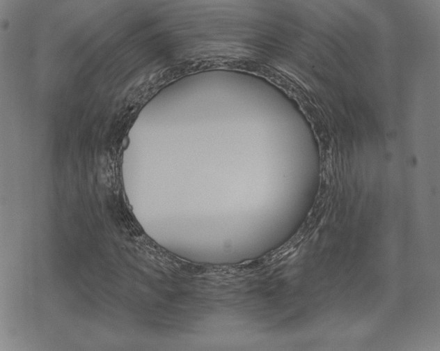 X0000073450917200607281002