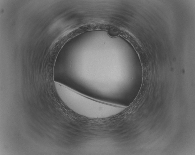 X0000073450919200607281002