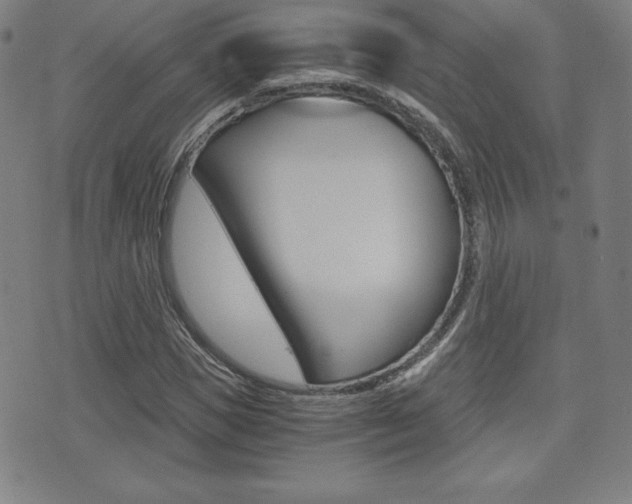 X0000073450921200607281002