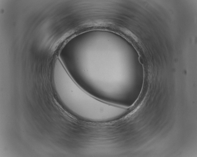 X0000073450922200607281002