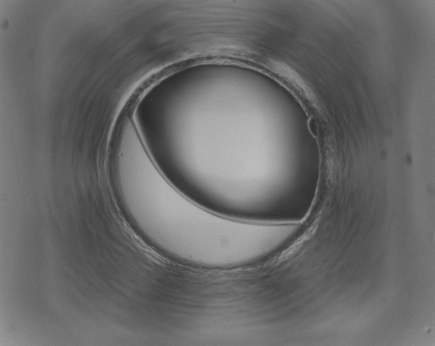 X0000073450924200607281002