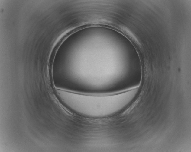 X0000073450932200607281003