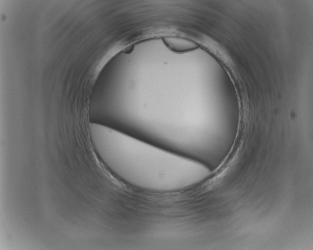 X0000073450953200607281003