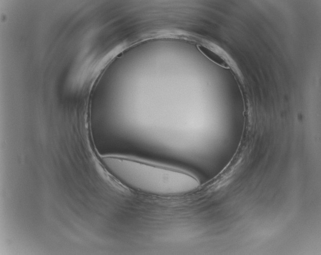 X0000073450954200607281003