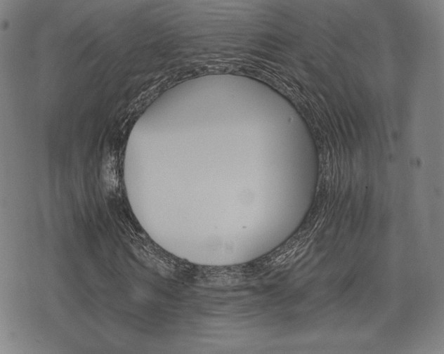 X0000073450962200607281002