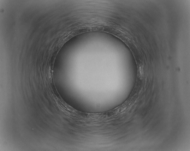 X0000073450963200607281002