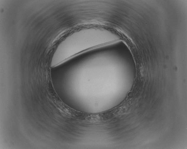 X0000073450968200607281002