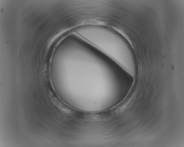 X0000073450971200607281002